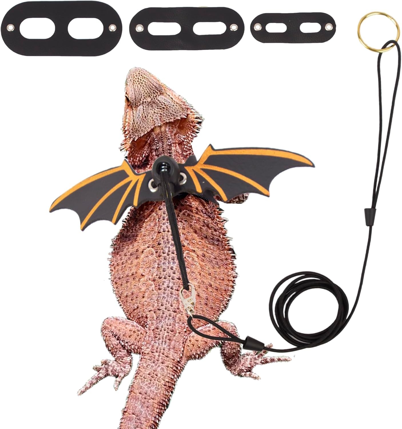 Black Bearded Dragon Leash Harness, 3 Size Pack, Cool Bat Wing