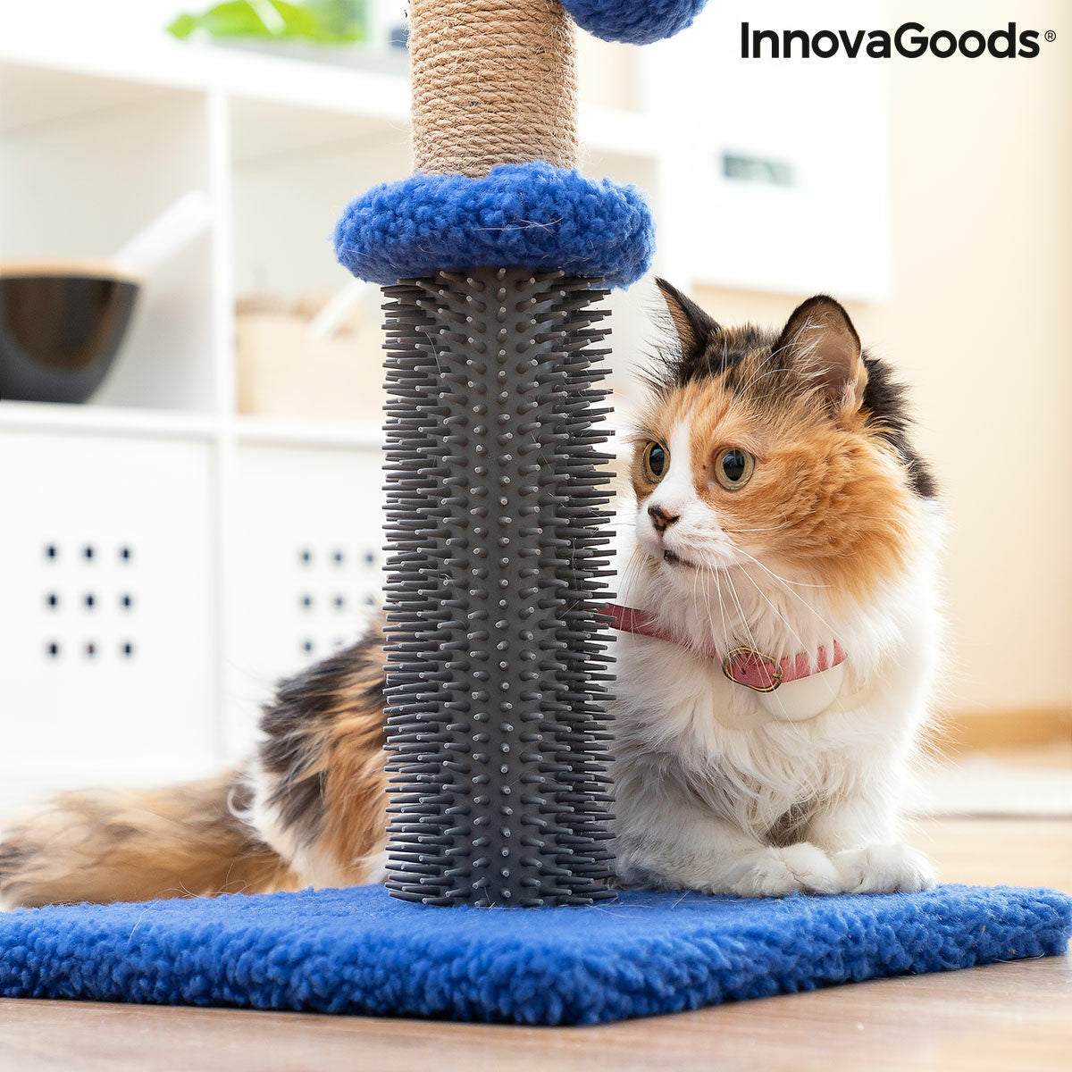 Poste Rascador y Masajeador para Gatos con Pelota — Miausage InnovaGoods