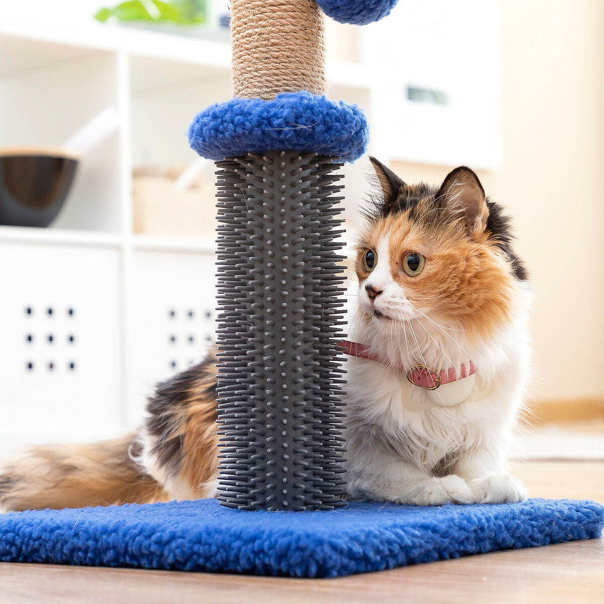 Poste Rascador y Masajeador para Gatos con Pelota — Miausage InnovaGoods