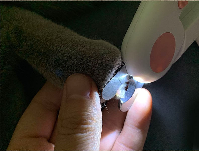 Cortaúñas LED para Mascotas — Cortauñas para Gatos y Perros