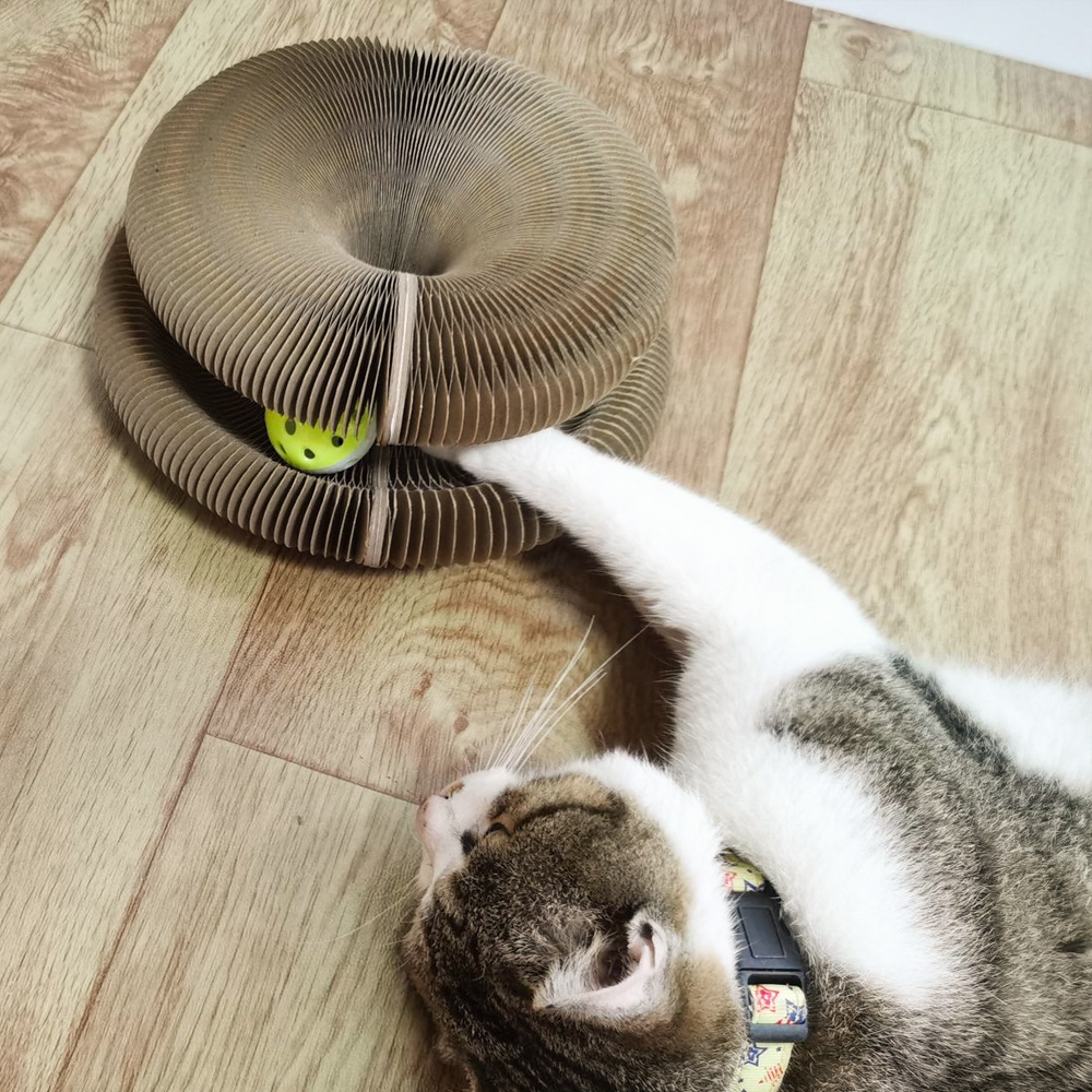 Rascador de Cartón Plegable para Gatos con Pelota